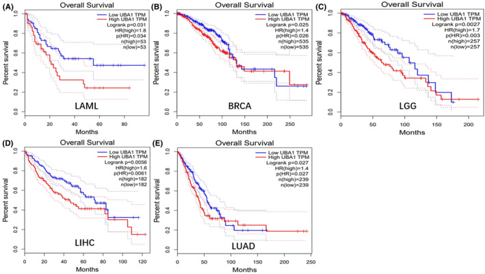 PMC11345122 – jcmm70037-fig-0003