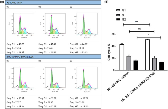 PMC11345122 – jcmm70037-fig-0009