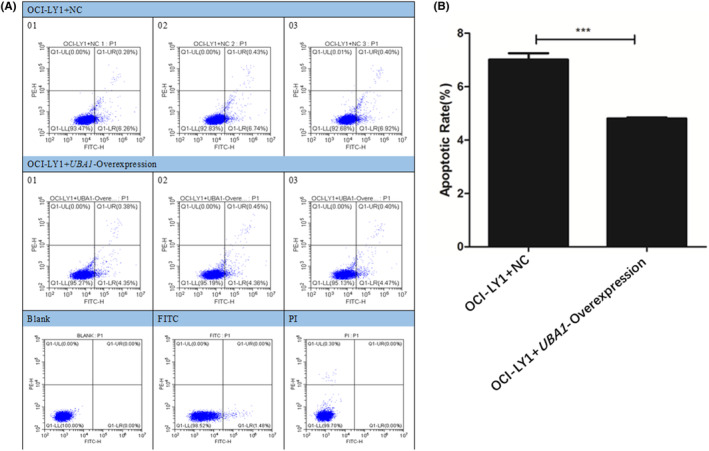 PMC11345122 – jcmm70037-fig-0008