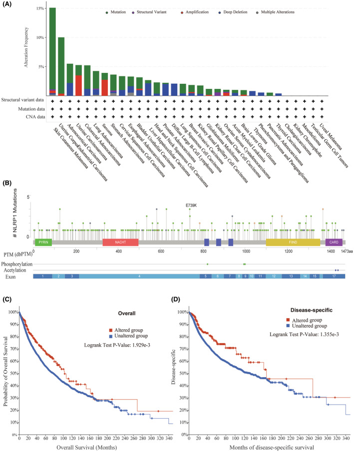 PMC11422451 – jcmm70100-fig-0012