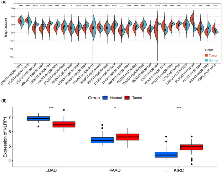 PMC11422451 – jcmm70100-fig-0003