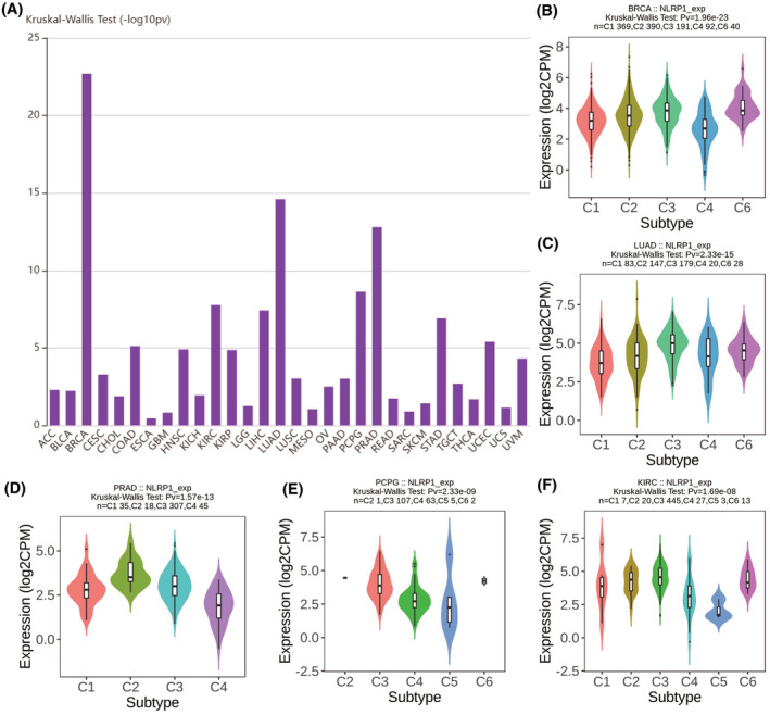 PMC11422451 – jcmm70100-fig-0009