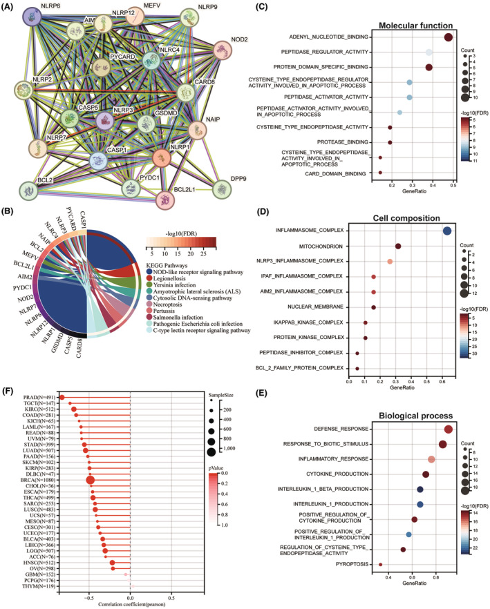 PMC11422451 – jcmm70100-fig-0007