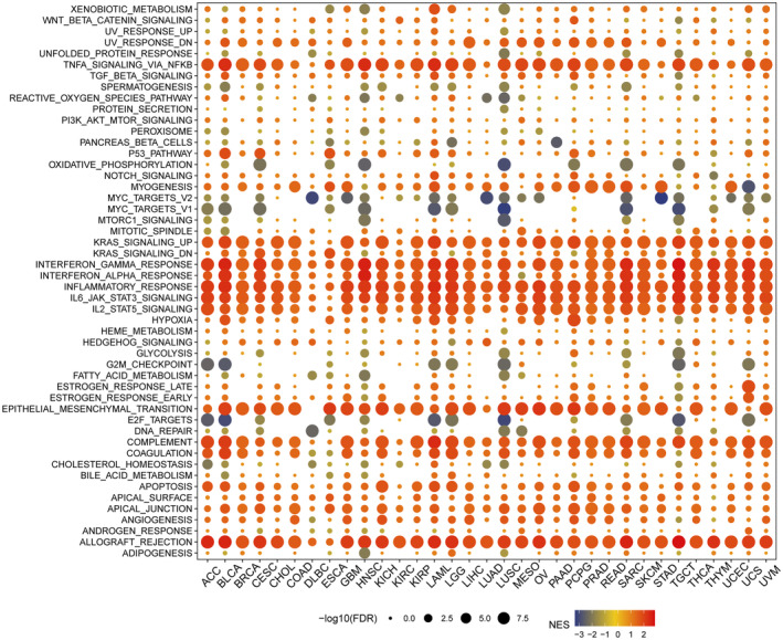 PMC11422451 – jcmm70100-fig-0010