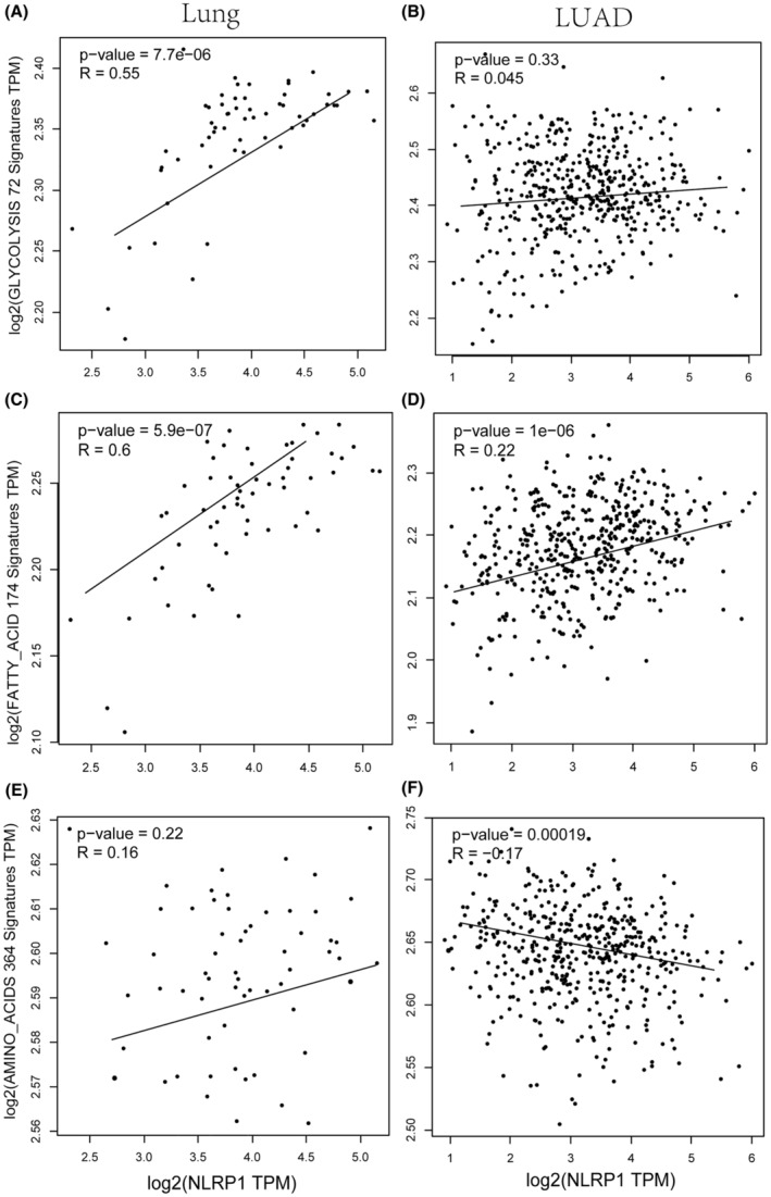 PMC11422451 – jcmm70100-fig-0011