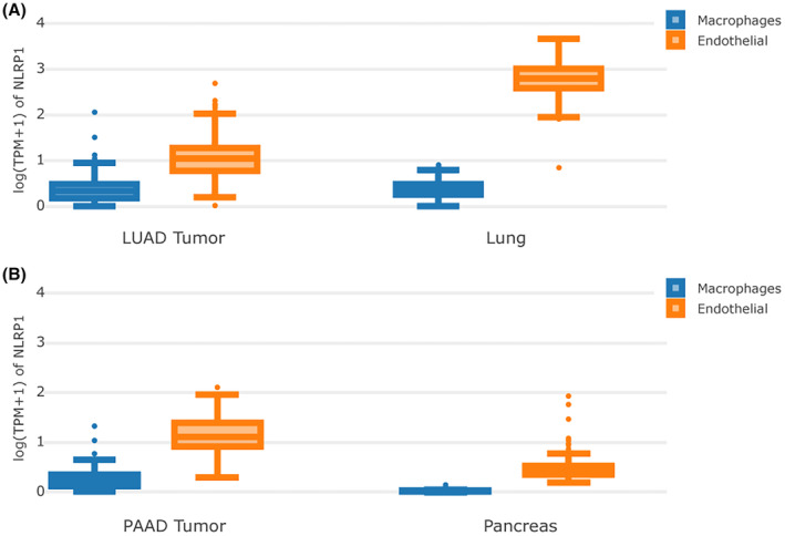 PMC11422451 – jcmm70100-fig-0006