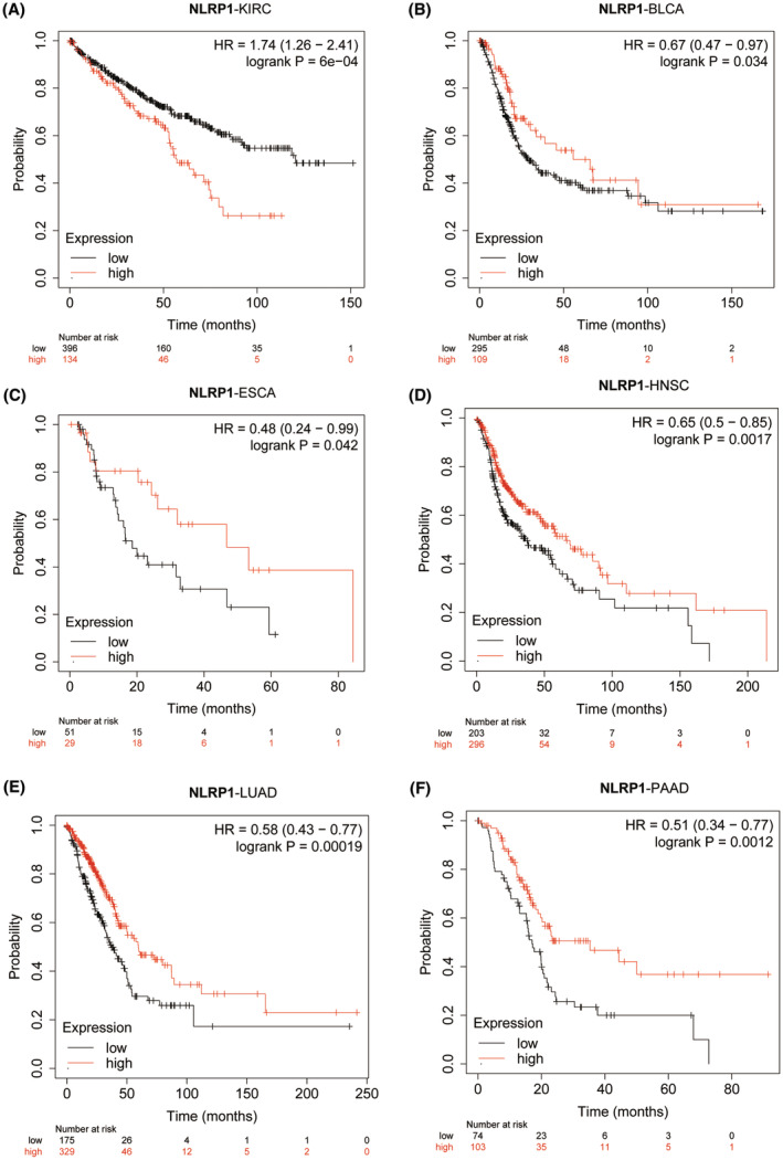 PMC11422451 – jcmm70100-fig-0004