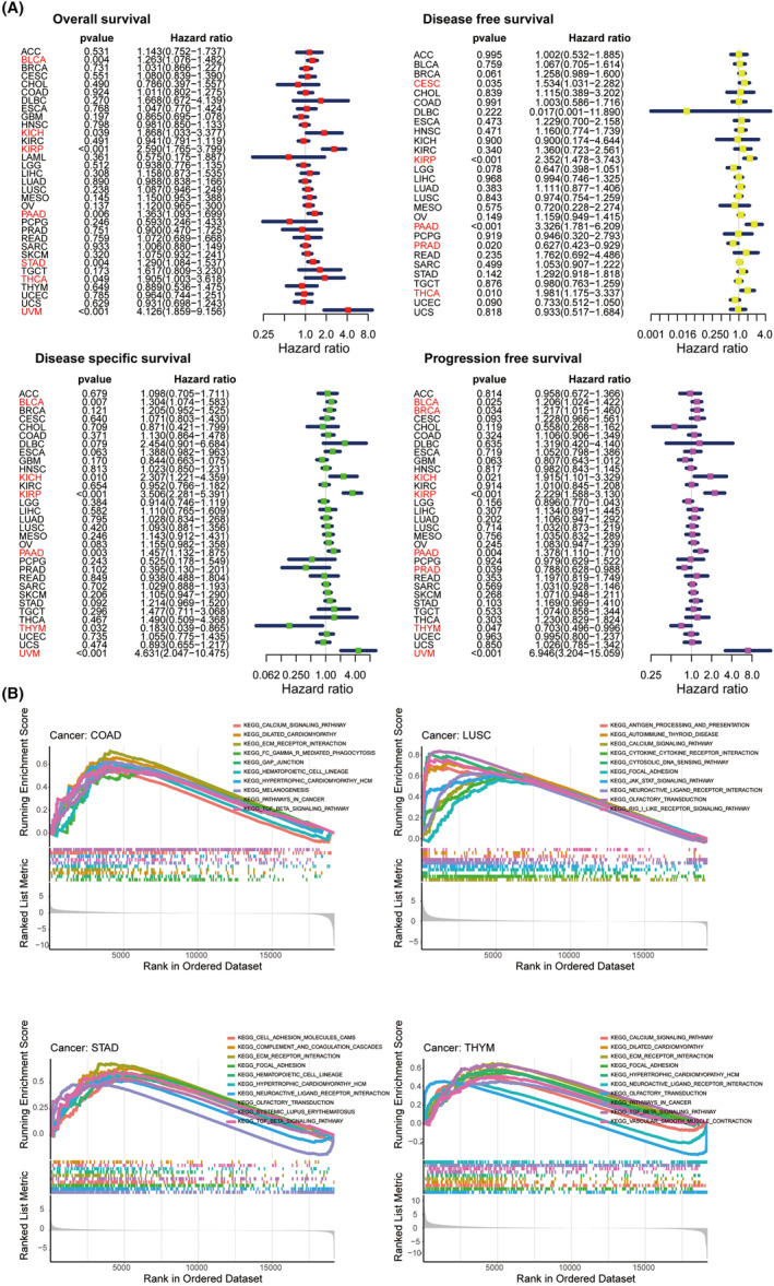 PMC11600291 – jcmm70172-fig-0003