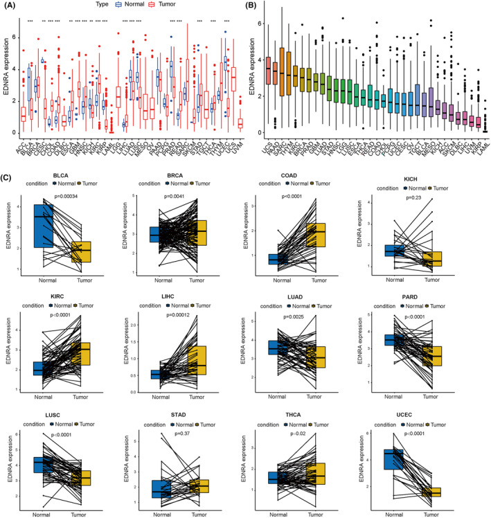 PMC11600291 – jcmm70172-fig-0001