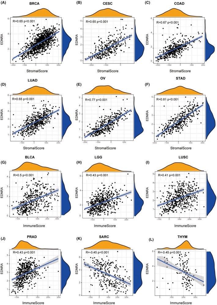 PMC11600291 – jcmm70172-fig-0005