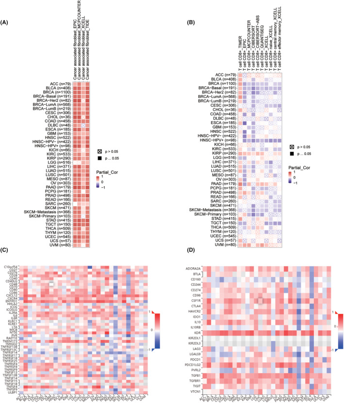 PMC11600291 – jcmm70172-fig-0006