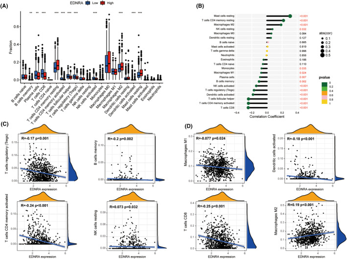 PMC11600291 – jcmm70172-fig-0004