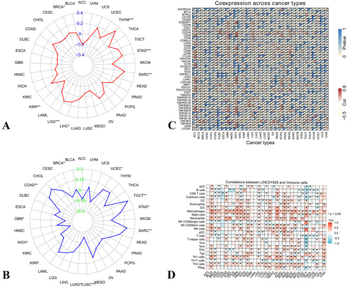 PMC11588430 – jcmm70227-fig-0005