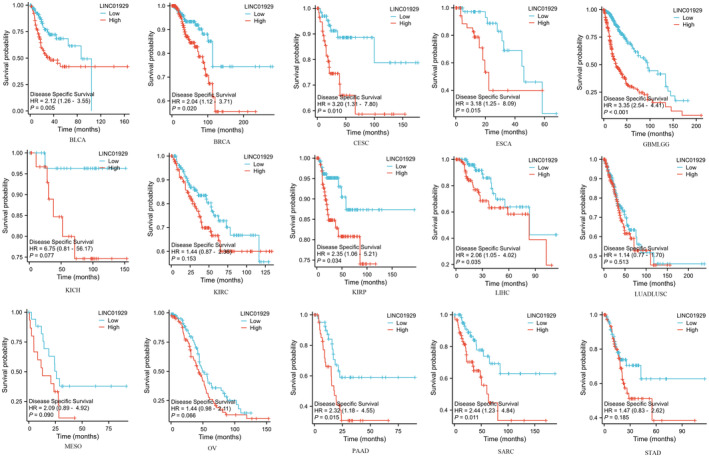 PMC11588430 – jcmm70227-fig-0004