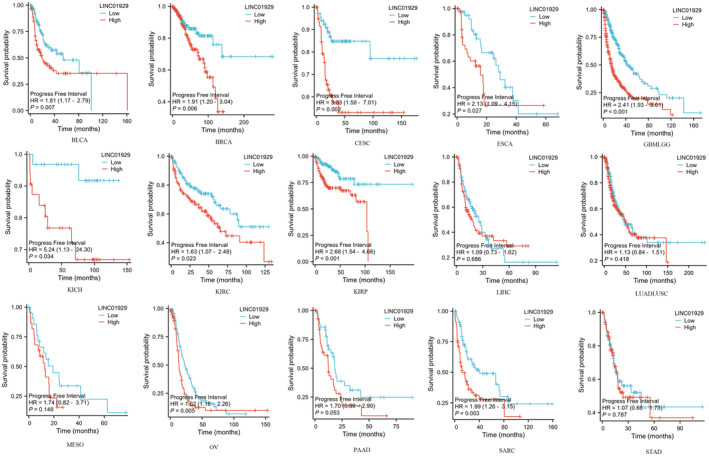 PMC11588430 – jcmm70227-fig-0003