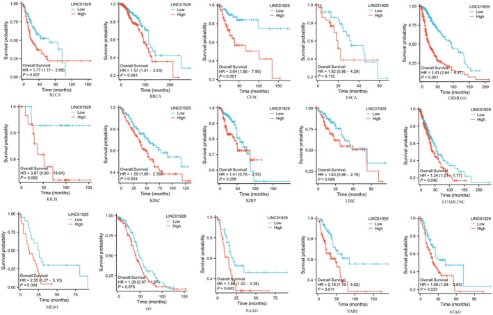 PMC11588430 – jcmm70227-fig-0002
