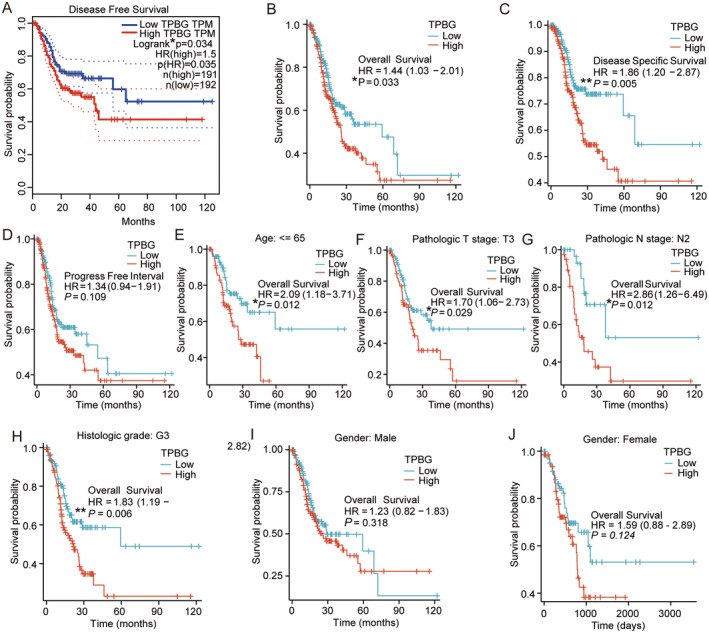 PMC11740983 – jcmm70354-fig-0003