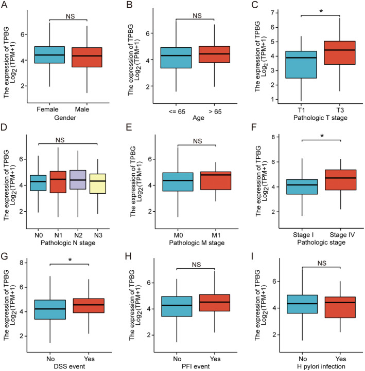 PMC11740983 – jcmm70354-fig-0002