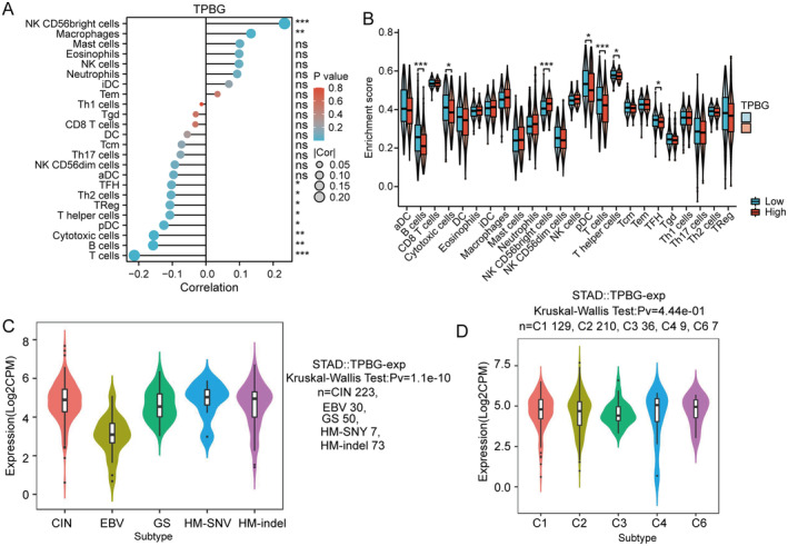 PMC11740983 – jcmm70354-fig-0007