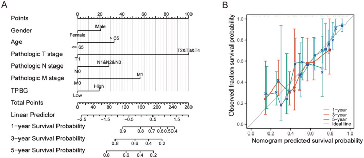 PMC11740983 – jcmm70354-fig-0004