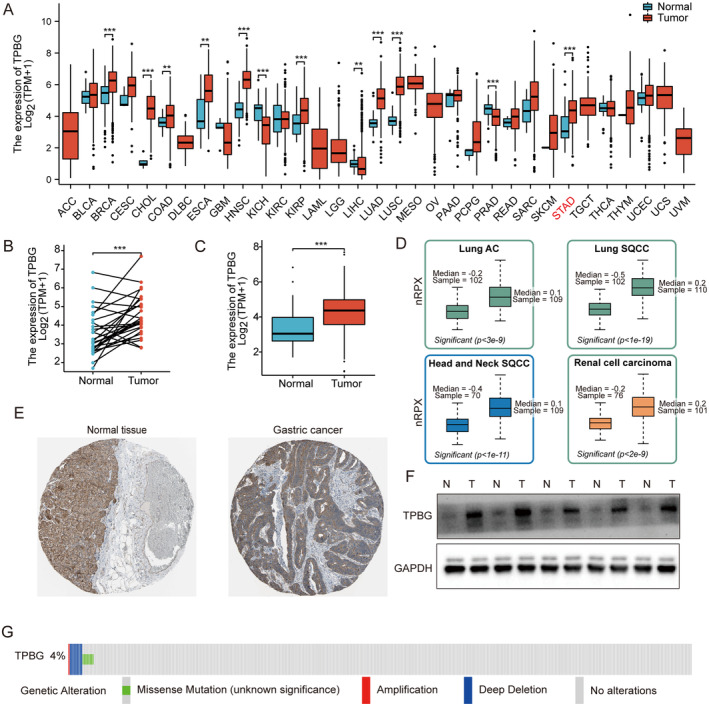 PMC11740983 – jcmm70354-fig-0001