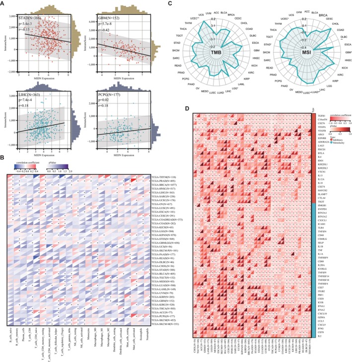 PMC11924130 – jcmm70472-fig-0004