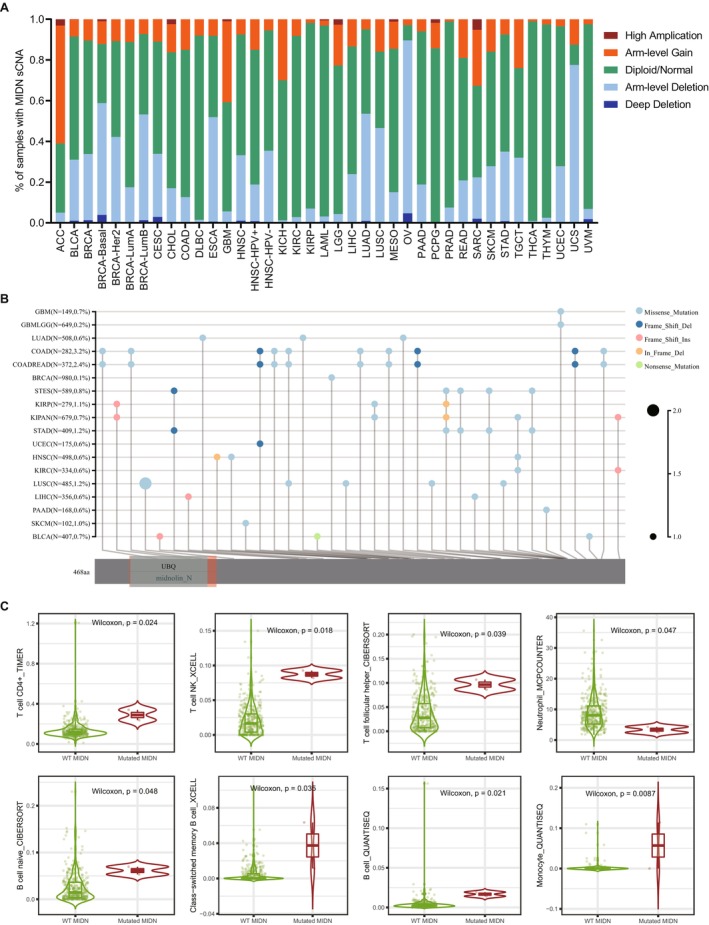 PMC11924130 – jcmm70472-fig-0005