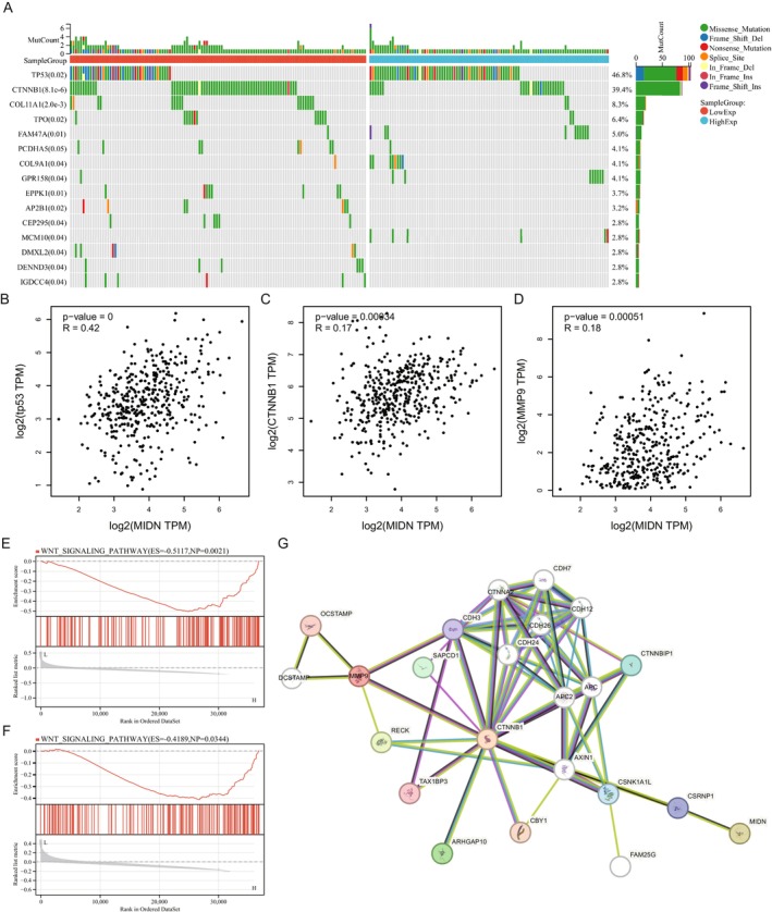 PMC11924130 – jcmm70472-fig-0006