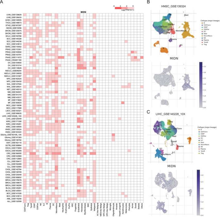 PMC11924130 – jcmm70472-fig-0003