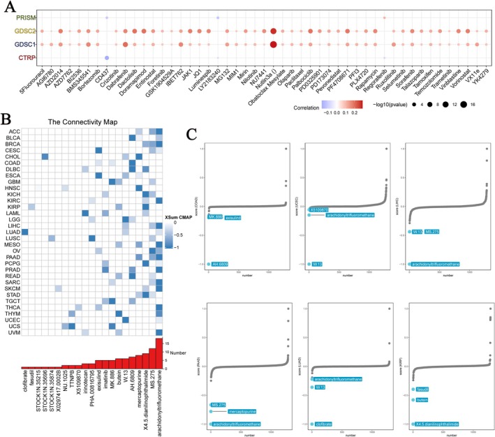 PMC11984320 – jcmm70527-fig-0010