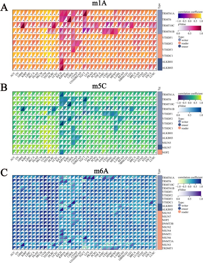 PMC11984320 – jcmm70527-fig-0005