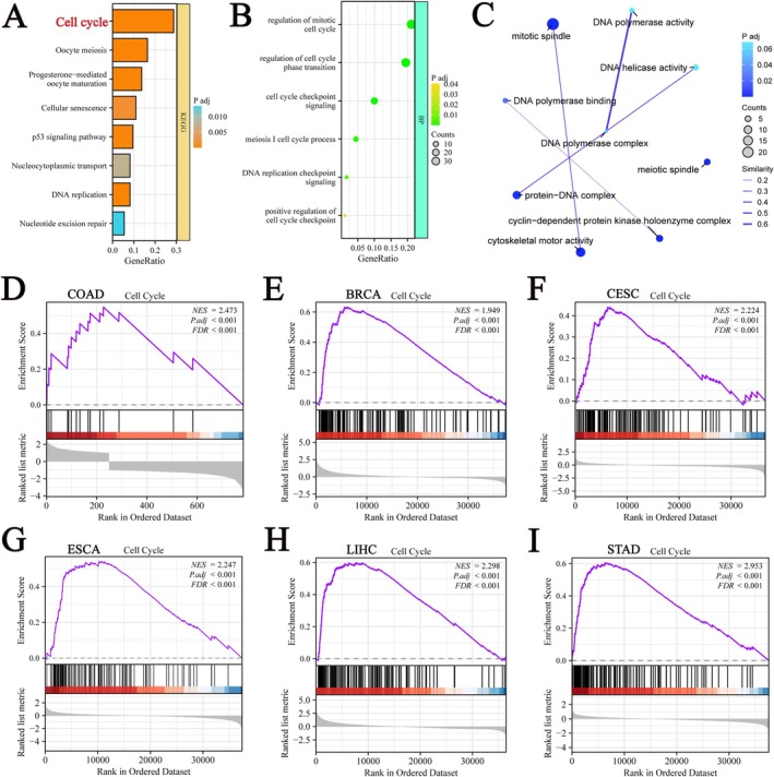 PMC11984320 – jcmm70527-fig-0011