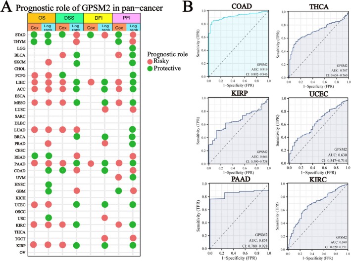 PMC11984320 – jcmm70527-fig-0004