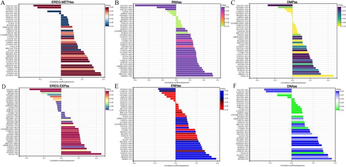 PMC11984320 – jcmm70527-fig-0006
