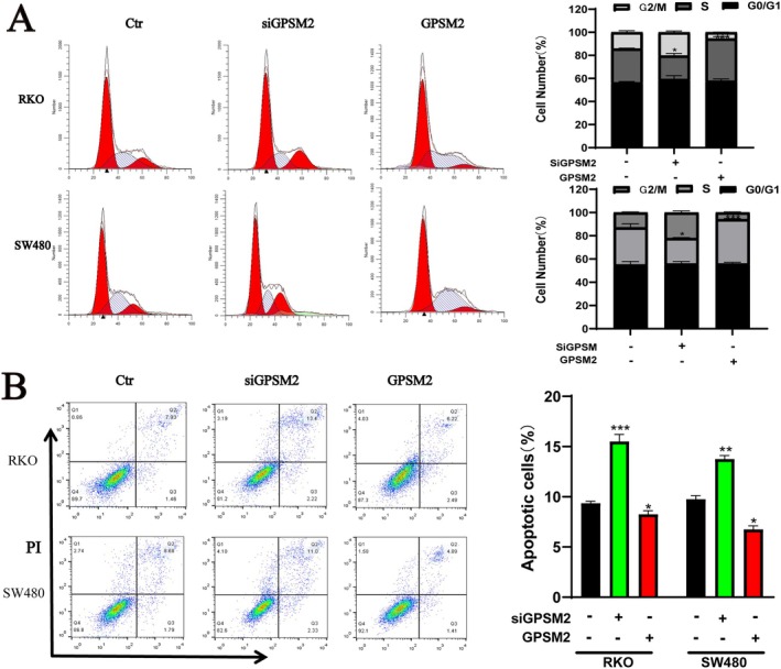 PMC11984320 – jcmm70527-fig-0013