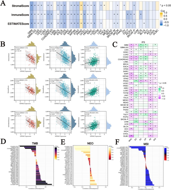 PMC11984320 – jcmm70527-fig-0007