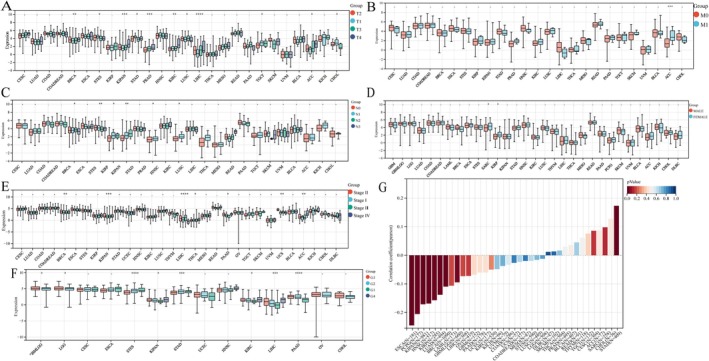 PMC11984320 – jcmm70527-fig-0003
