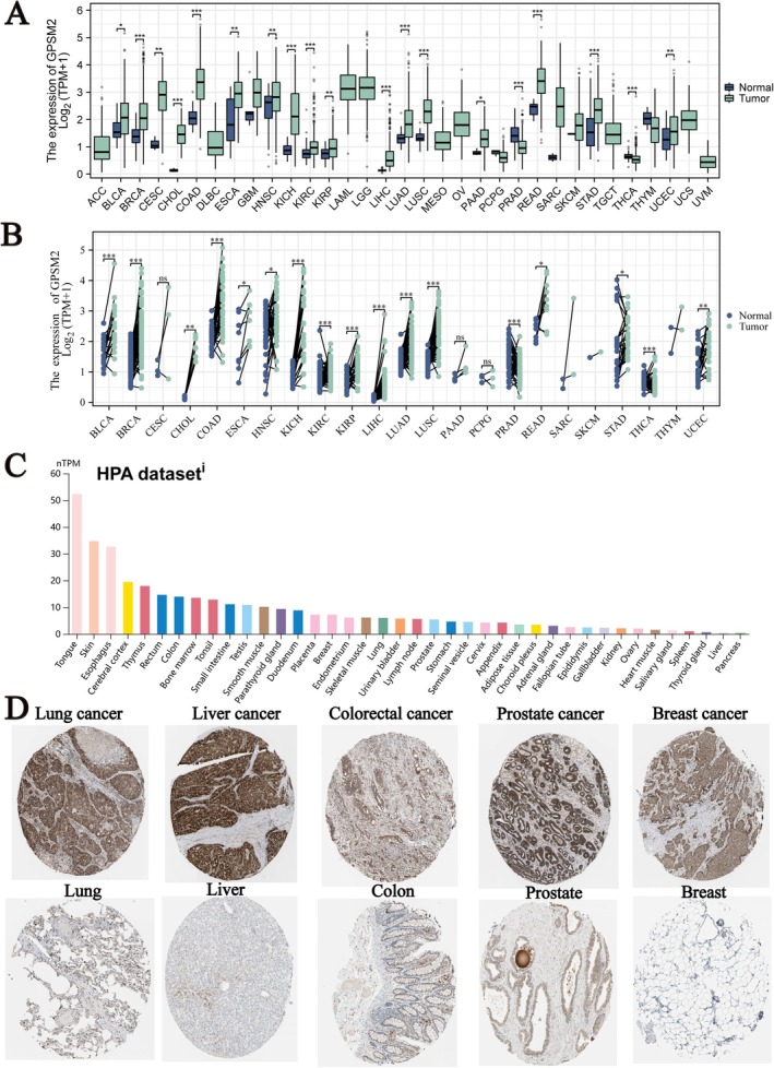 PMC11984320 – jcmm70527-fig-0001