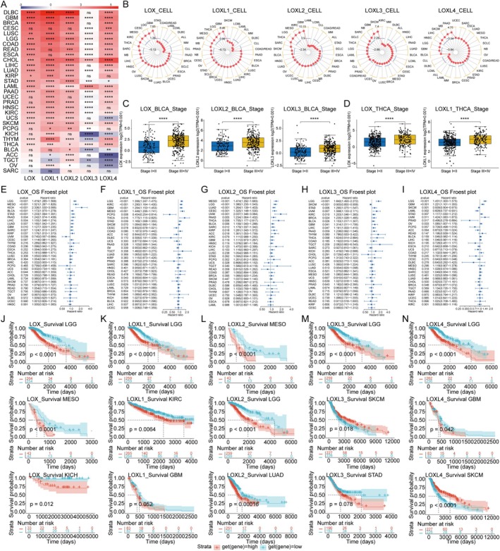 PMC11967703 – jcmm70536-fig-0001