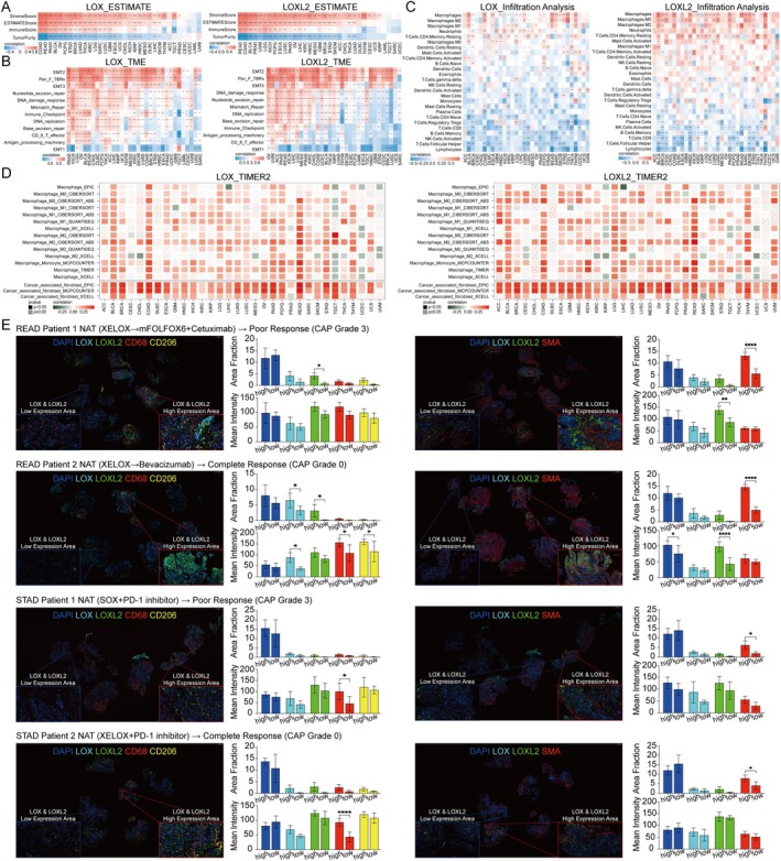 PMC11967703 – jcmm70536-fig-0004