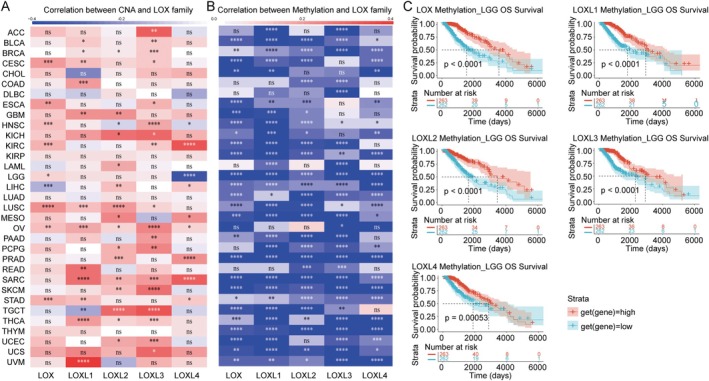 PMC11967703 – jcmm70536-fig-0002