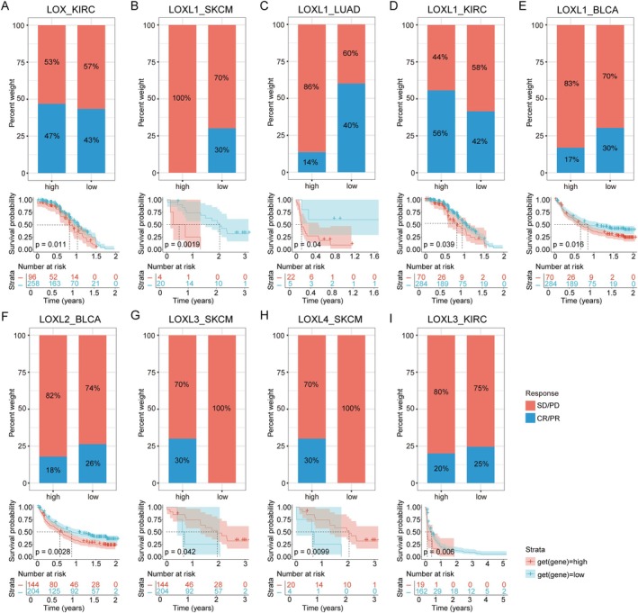 PMC11967703 – jcmm70536-fig-0006