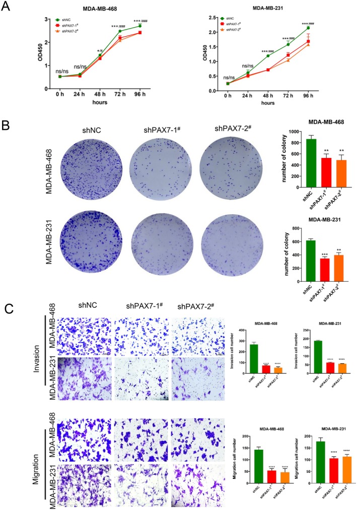 PMC12079090 – jcmm70602-fig-0008