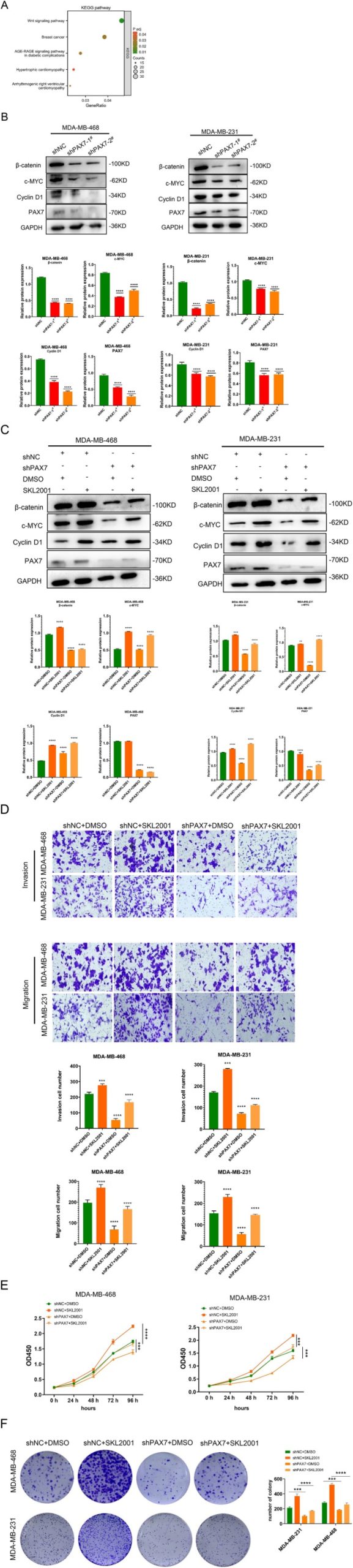 PMC12079090 – jcmm70602-fig-0009
