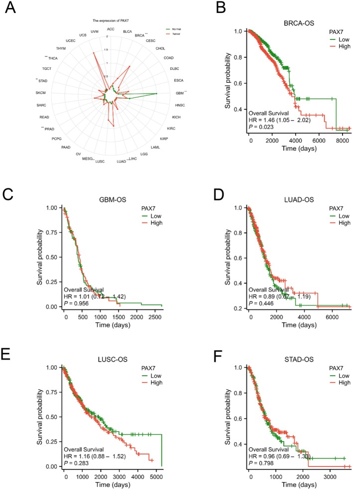 PMC12079090 – jcmm70602-fig-0002