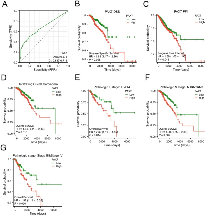 PMC12079090 – jcmm70602-fig-0003