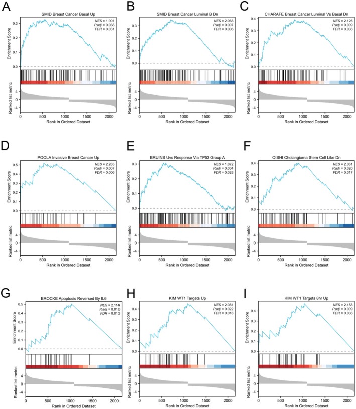 PMC12079090 – jcmm70602-fig-0007