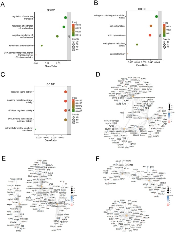 PMC12079090 – jcmm70602-fig-0006