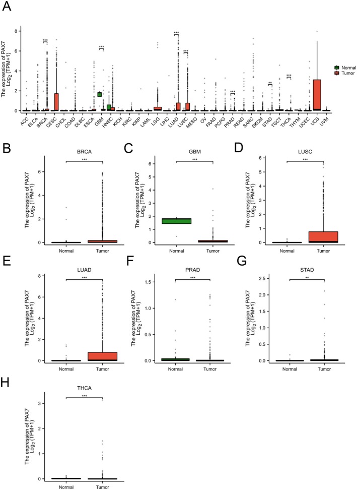 PMC12079090 – jcmm70602-fig-0001