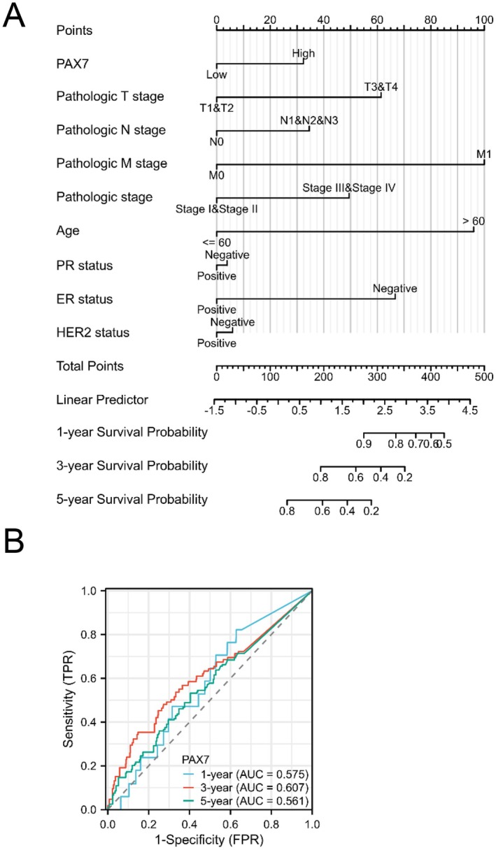 PMC12079090 – jcmm70602-fig-0004